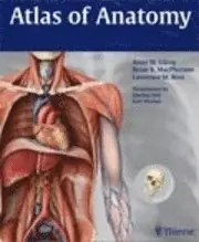 Atlas of anatomy : Latin nomenclature